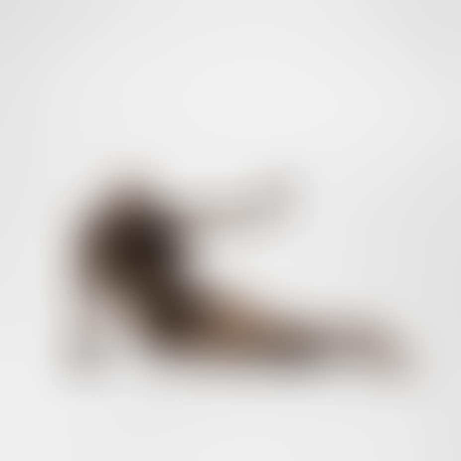 Le cabinet anthropomorphique (preview)