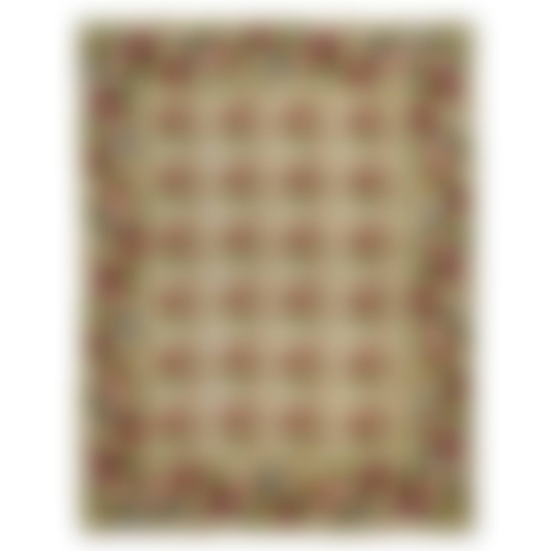 TAPIS AU POINT NOUE DE LA FIN DU XIXe SIECLE (preview)