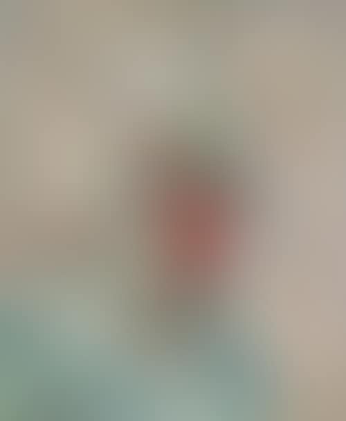 Fleurs dans un vase (preview)