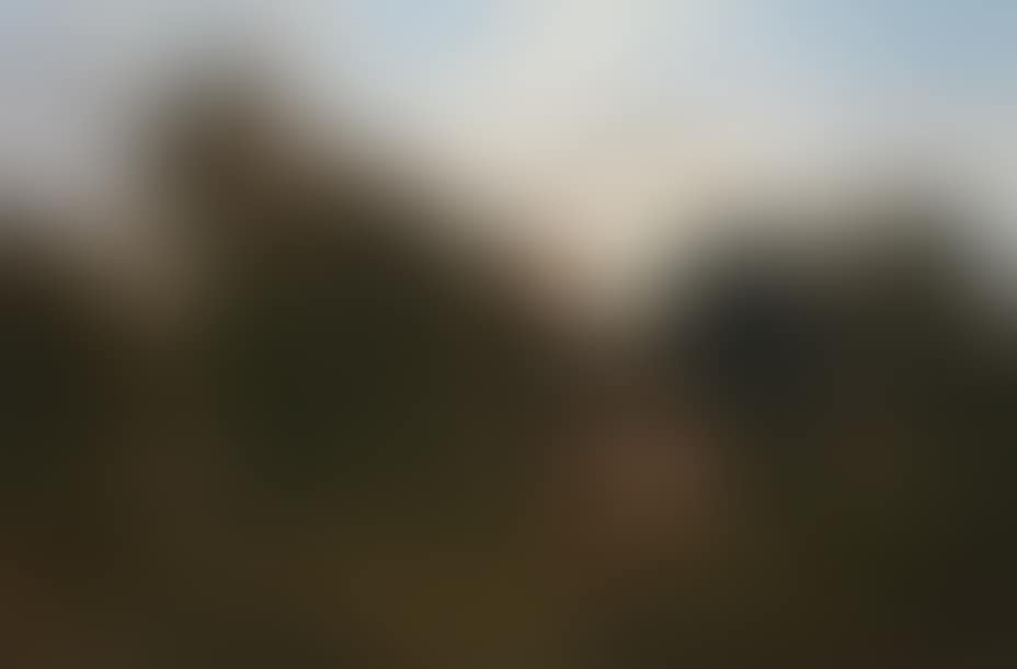 Forest with a Herd of Fallow Deer and Two Girls (Skov med rudel dådyr og to piger) (preview)