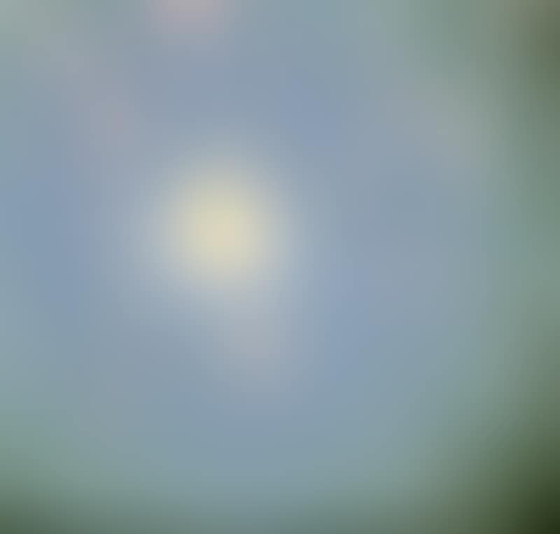 Sunlight through the trees (Fontainebleau) (preview)