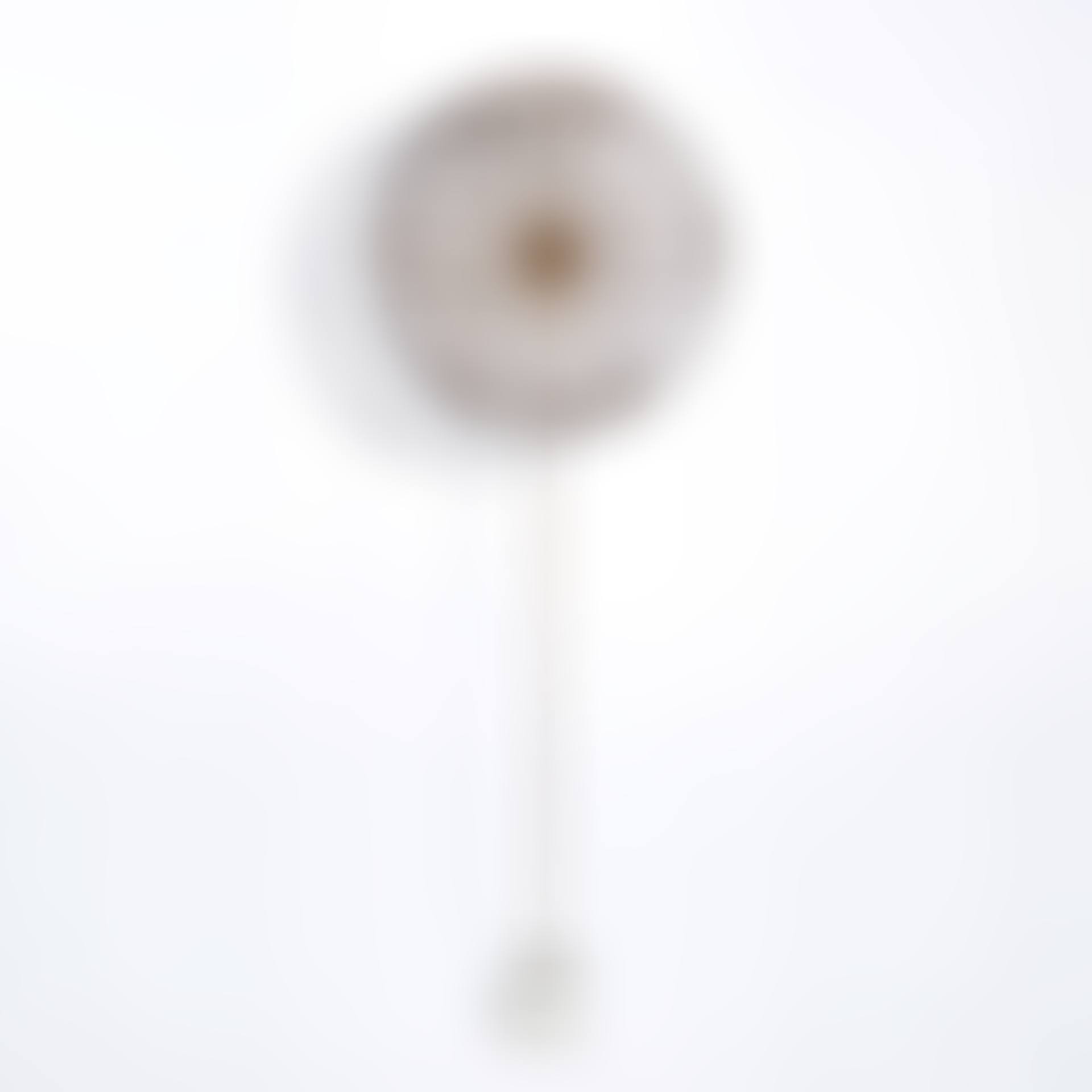 Untitled (Dandelion) (preview)