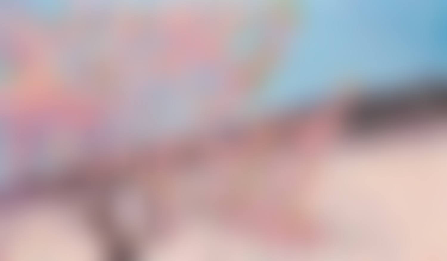 "Bits of joy" (preview)