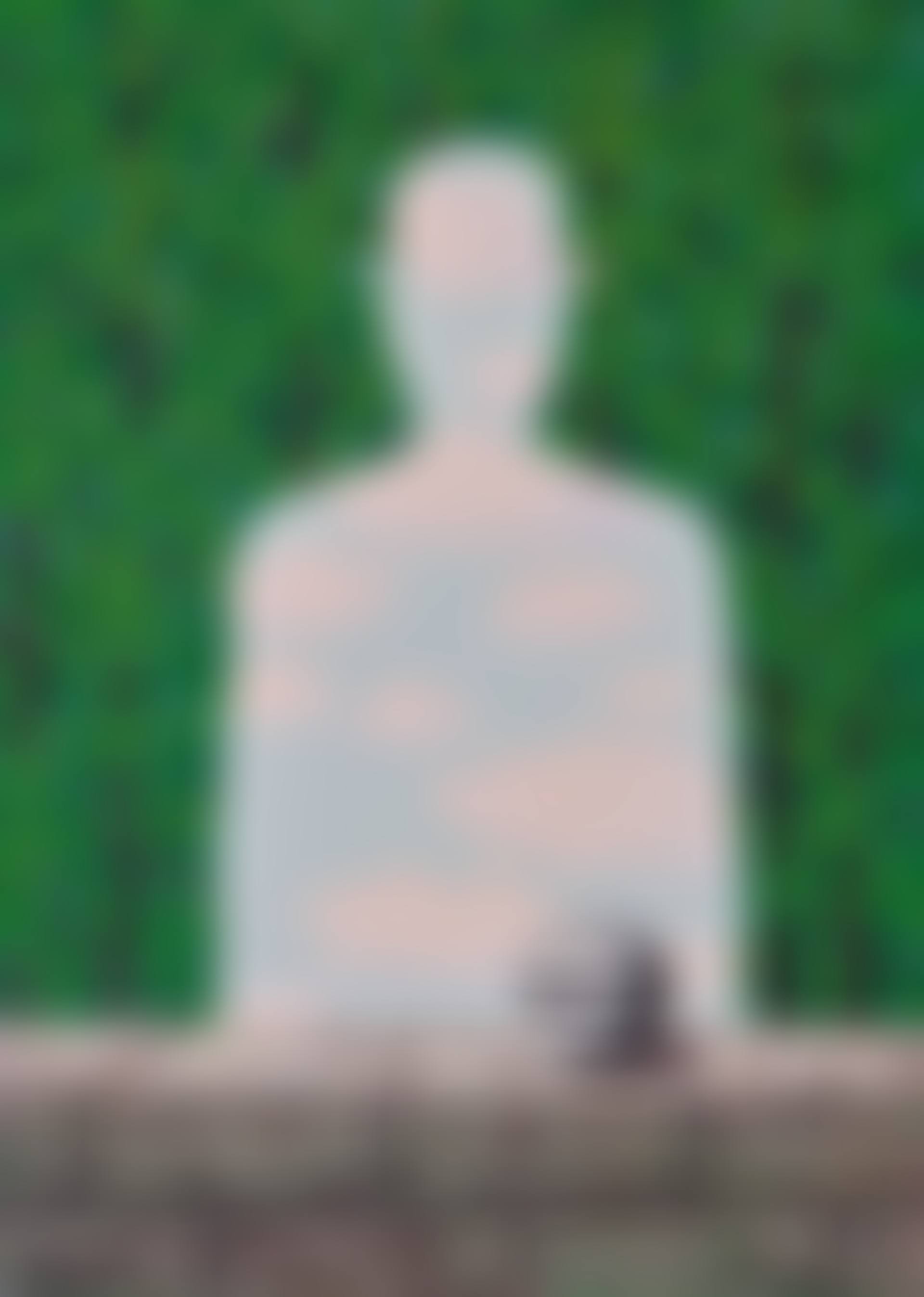 La Belle promenade (preview)