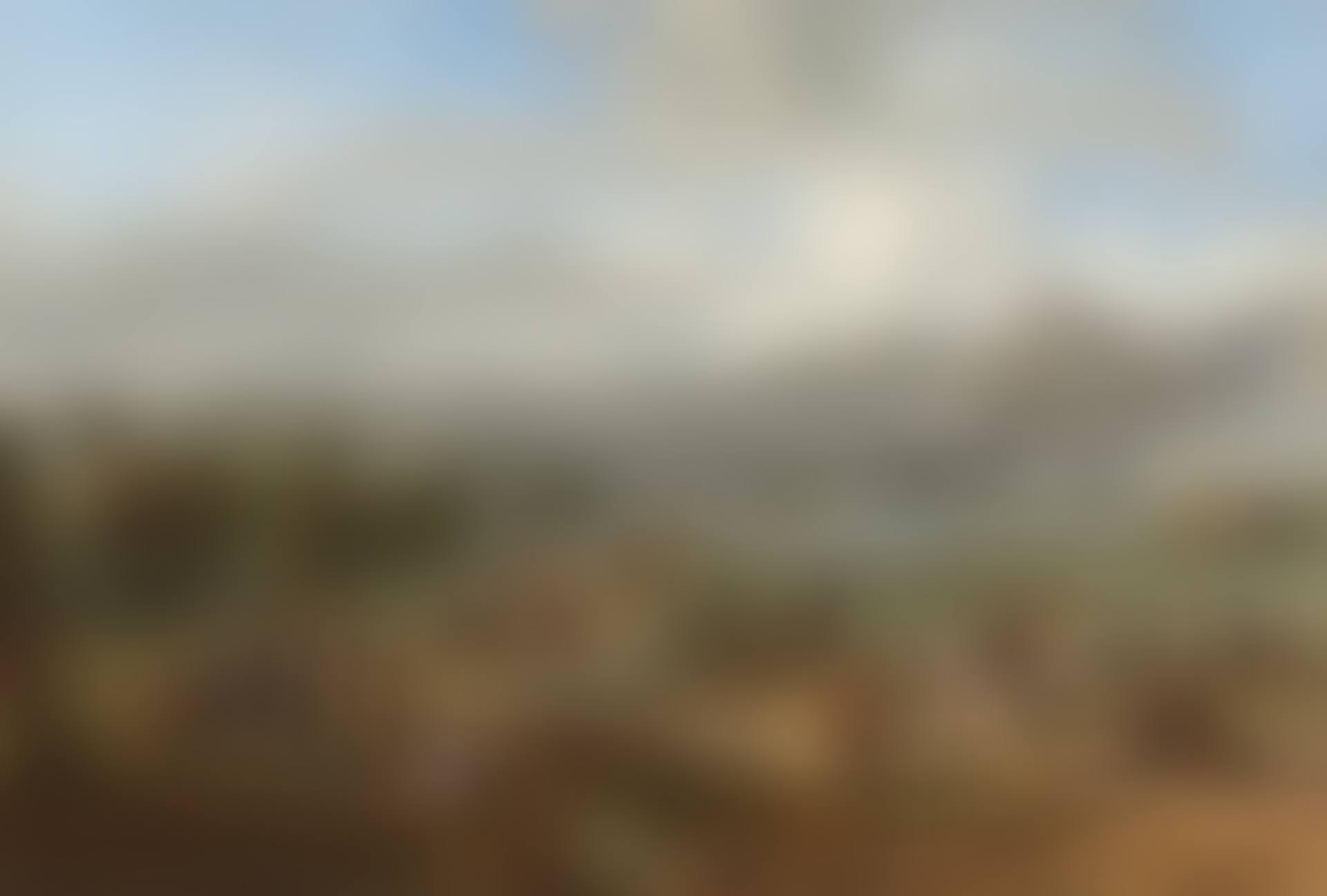 A panoramic landscape with falconry (preview)