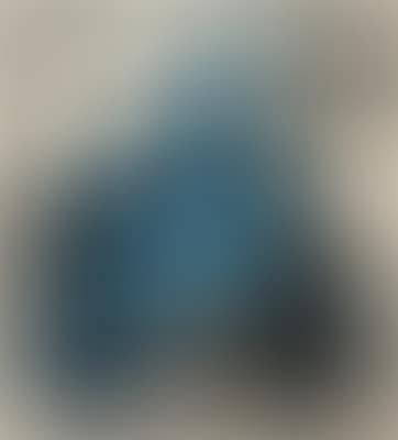 Zwei blaue Ara (preview)