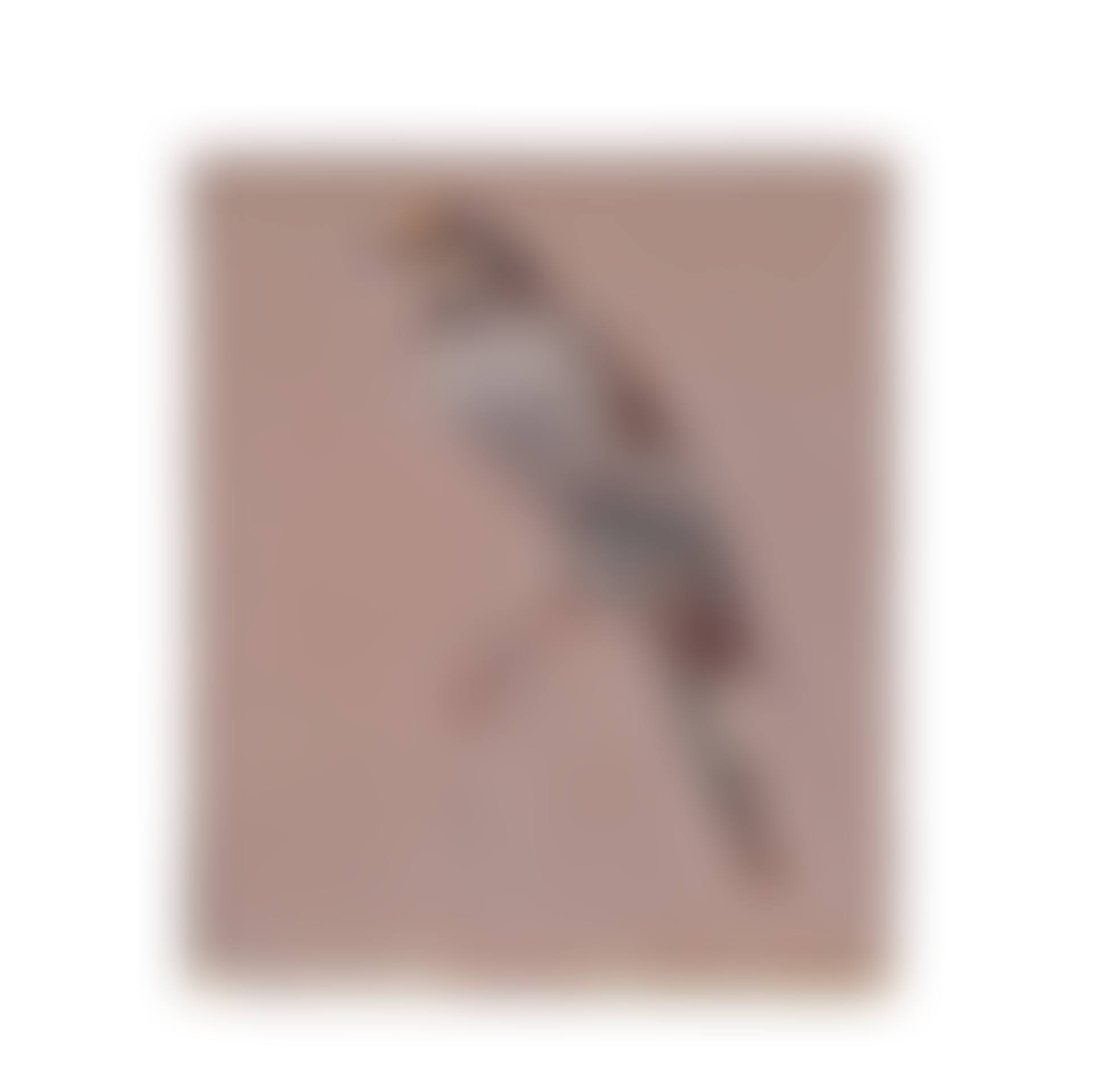 Bird (preview)