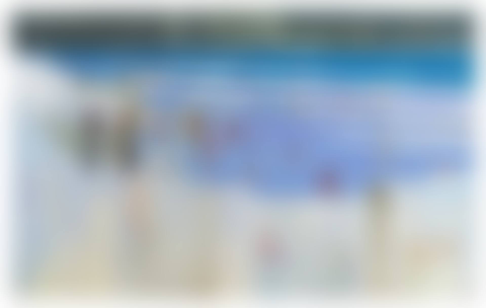 Untitled (Beach Scene) (preview)