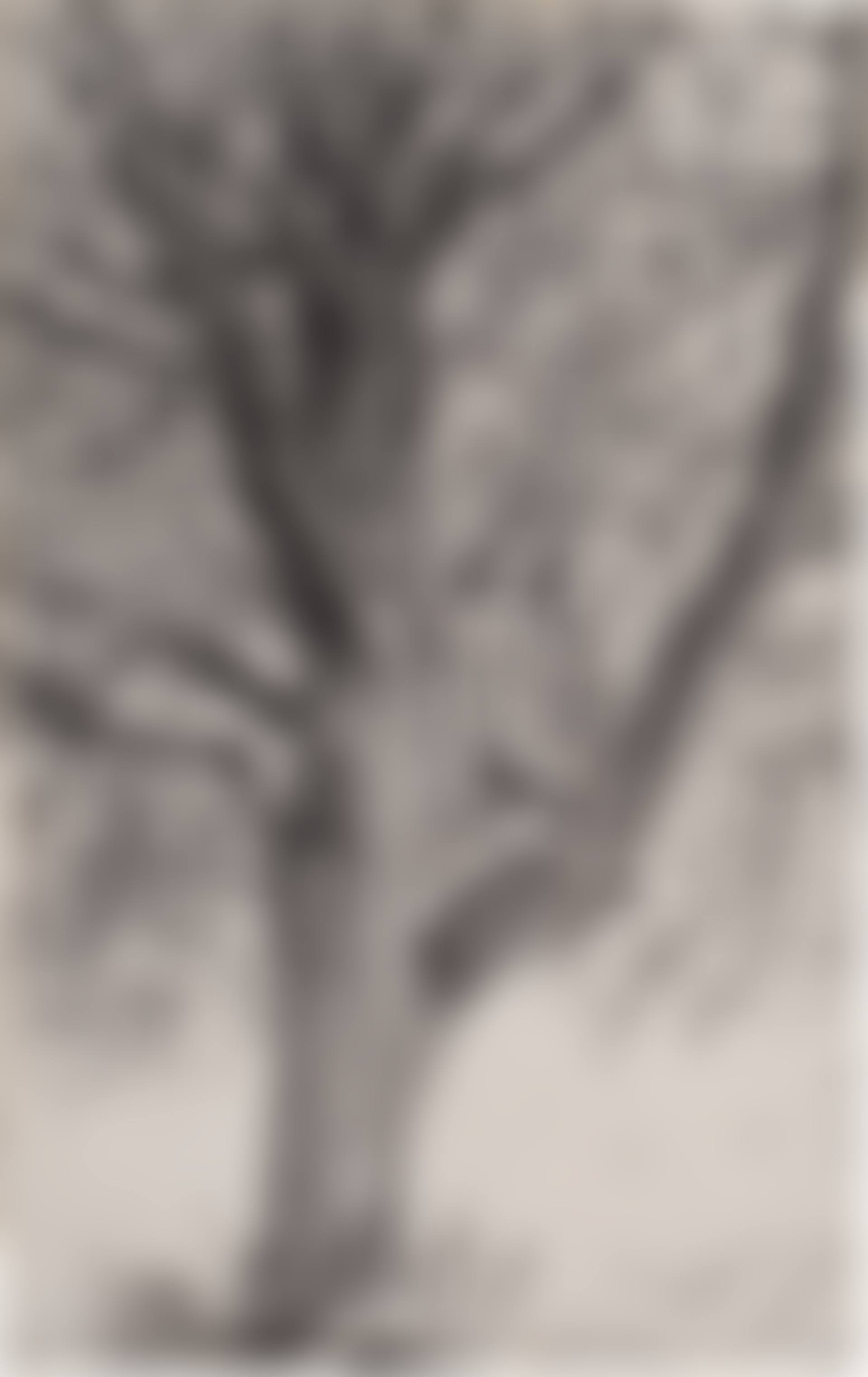 Study of a Tree (preview)
