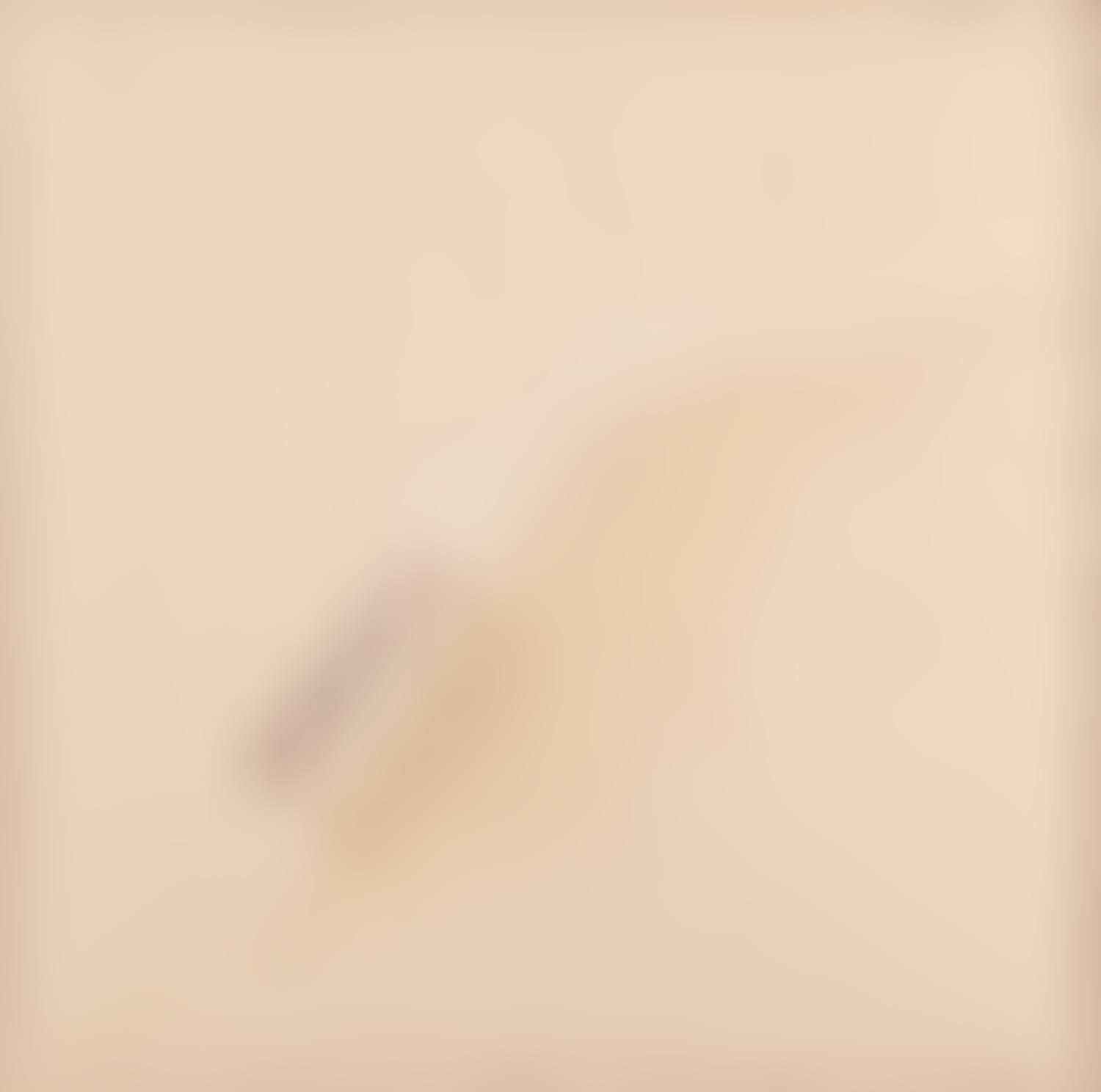 "A caravan was passing" (preview)