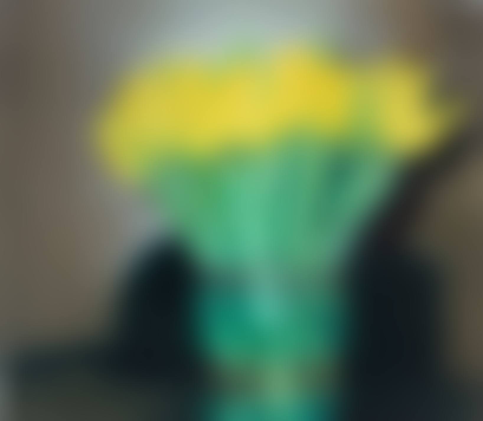 Tulips (P17) (preview)