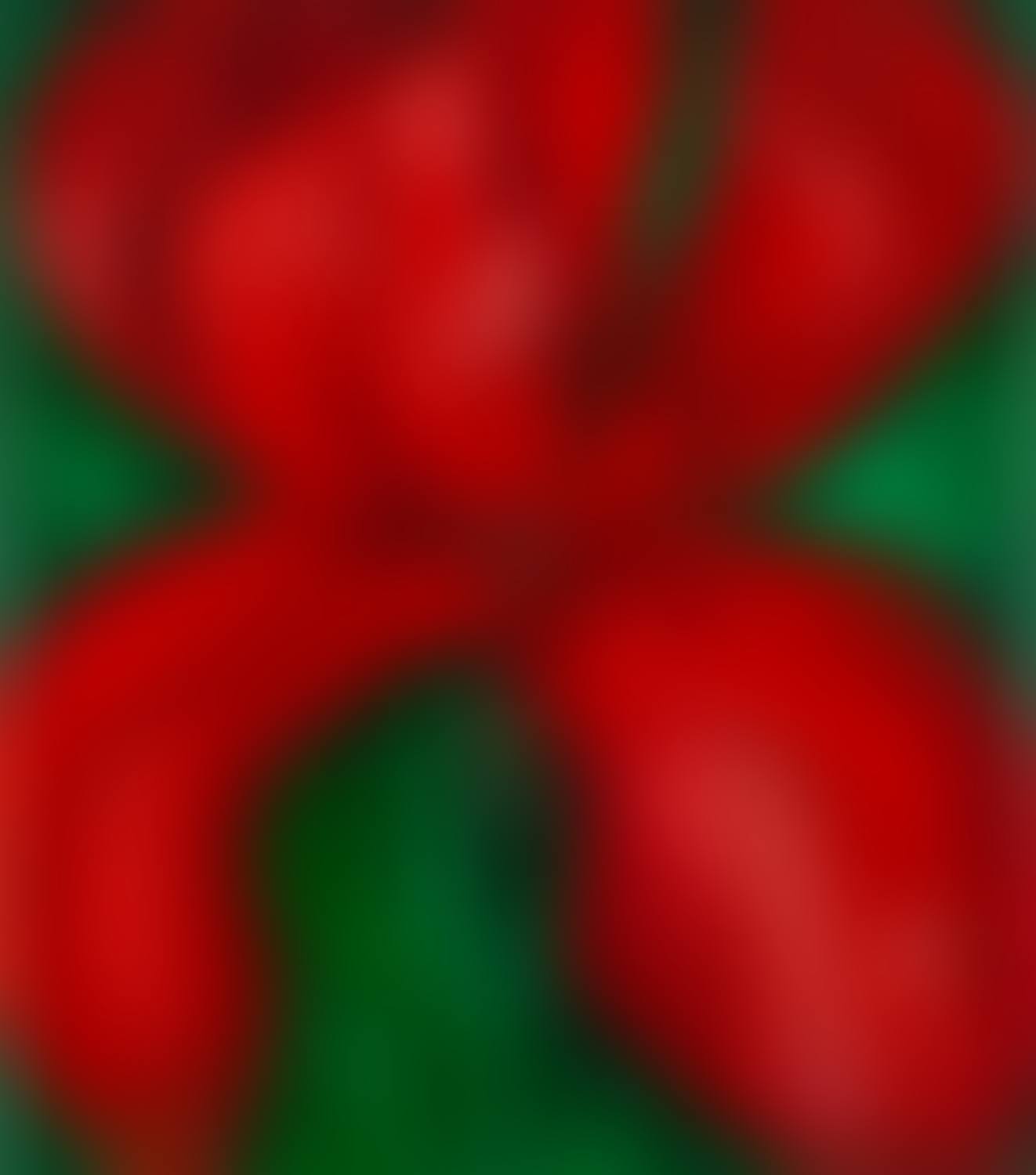 "Red iris with green leaves" (preview)