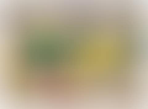 Still life with melon (preview)