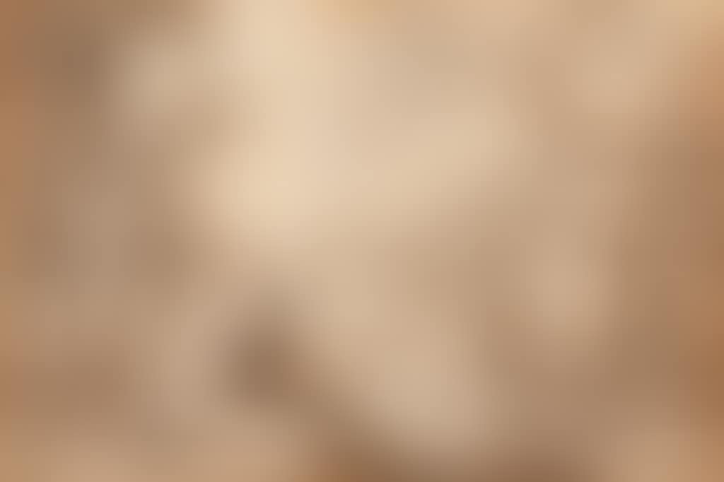 Le Baptême du Christ (preview)