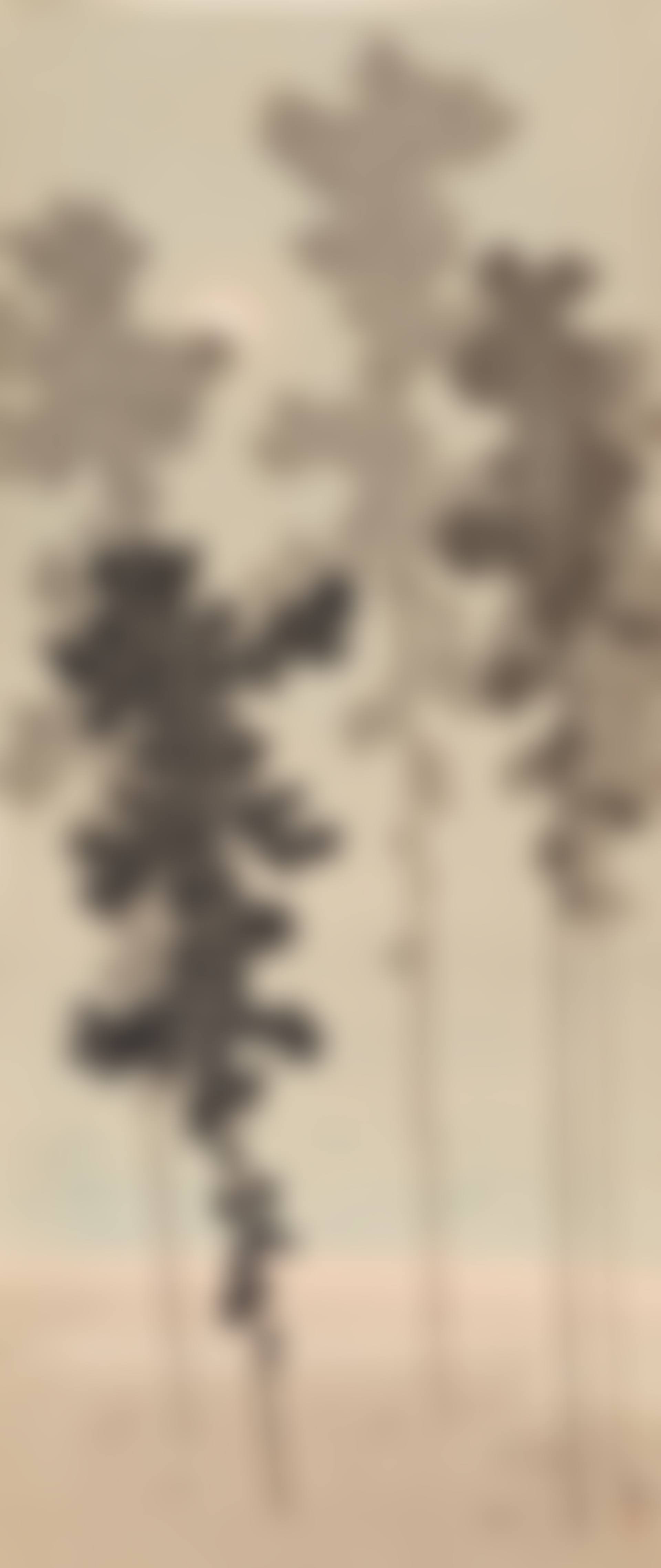 Moon through the pines (preview)