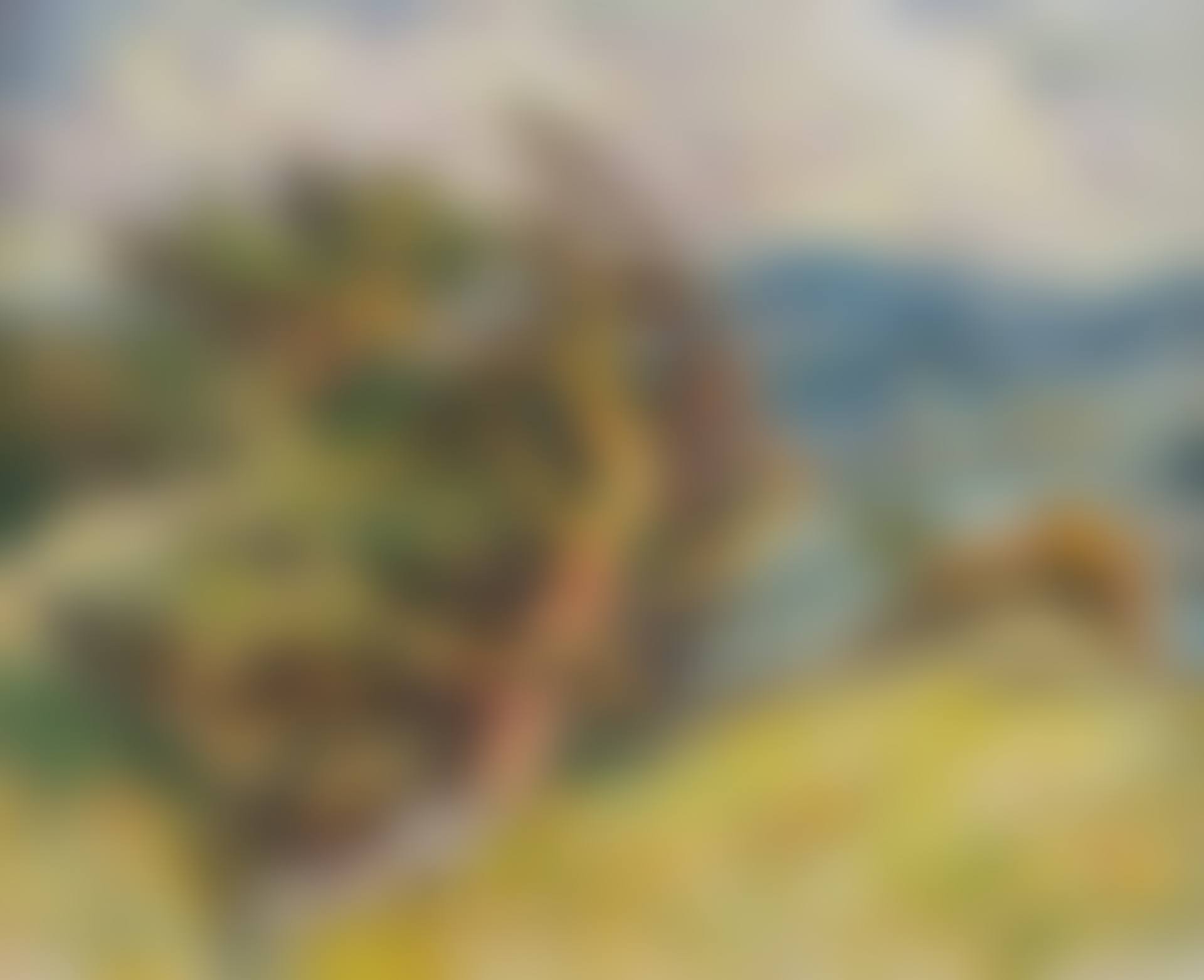 Tormimänd (preview)