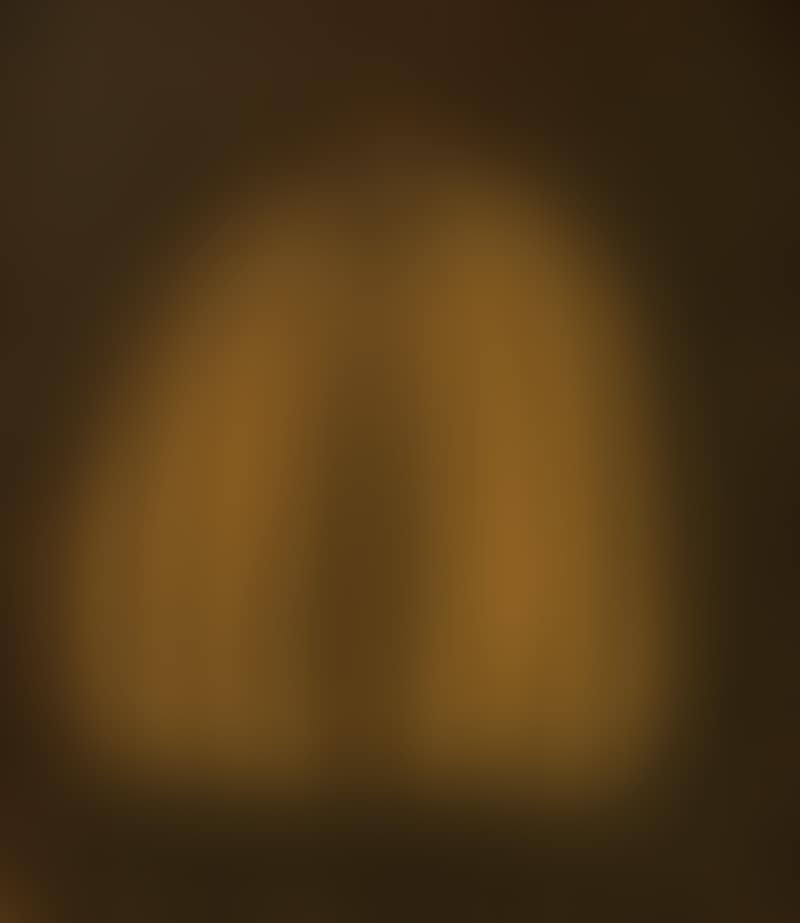 Pumpkin (2) (preview)