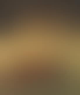 In the light (preview)