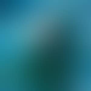 Kew (preview)