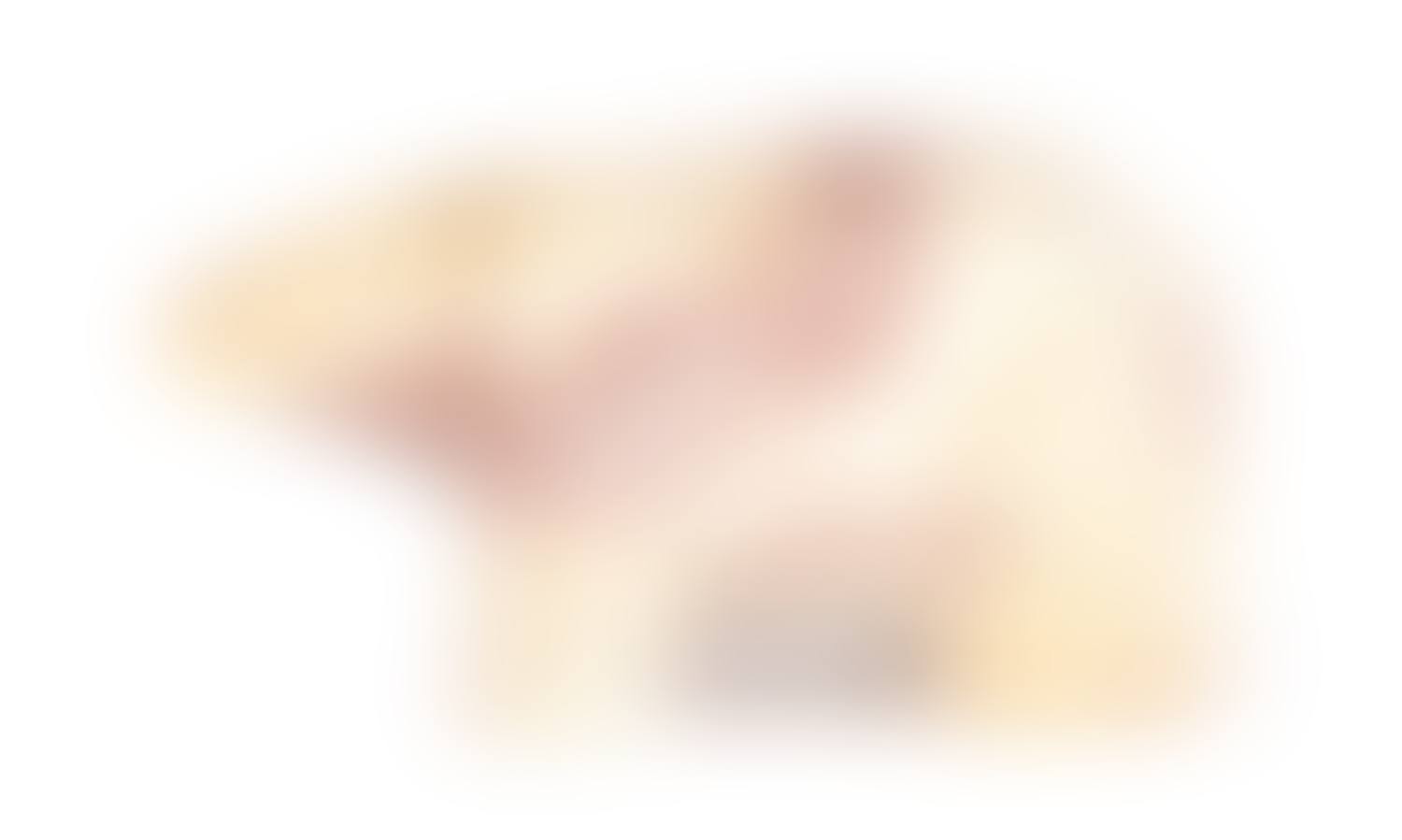 Niedzwiedz (preview)