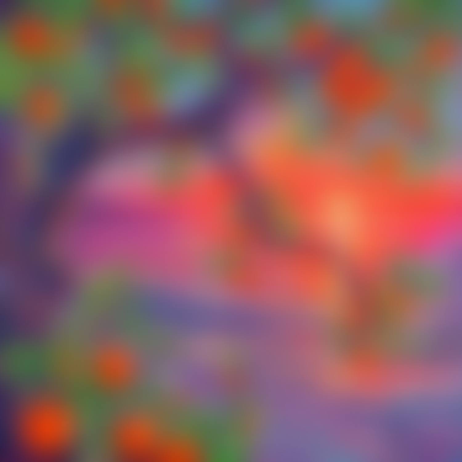 The alchemy sunset (preview)