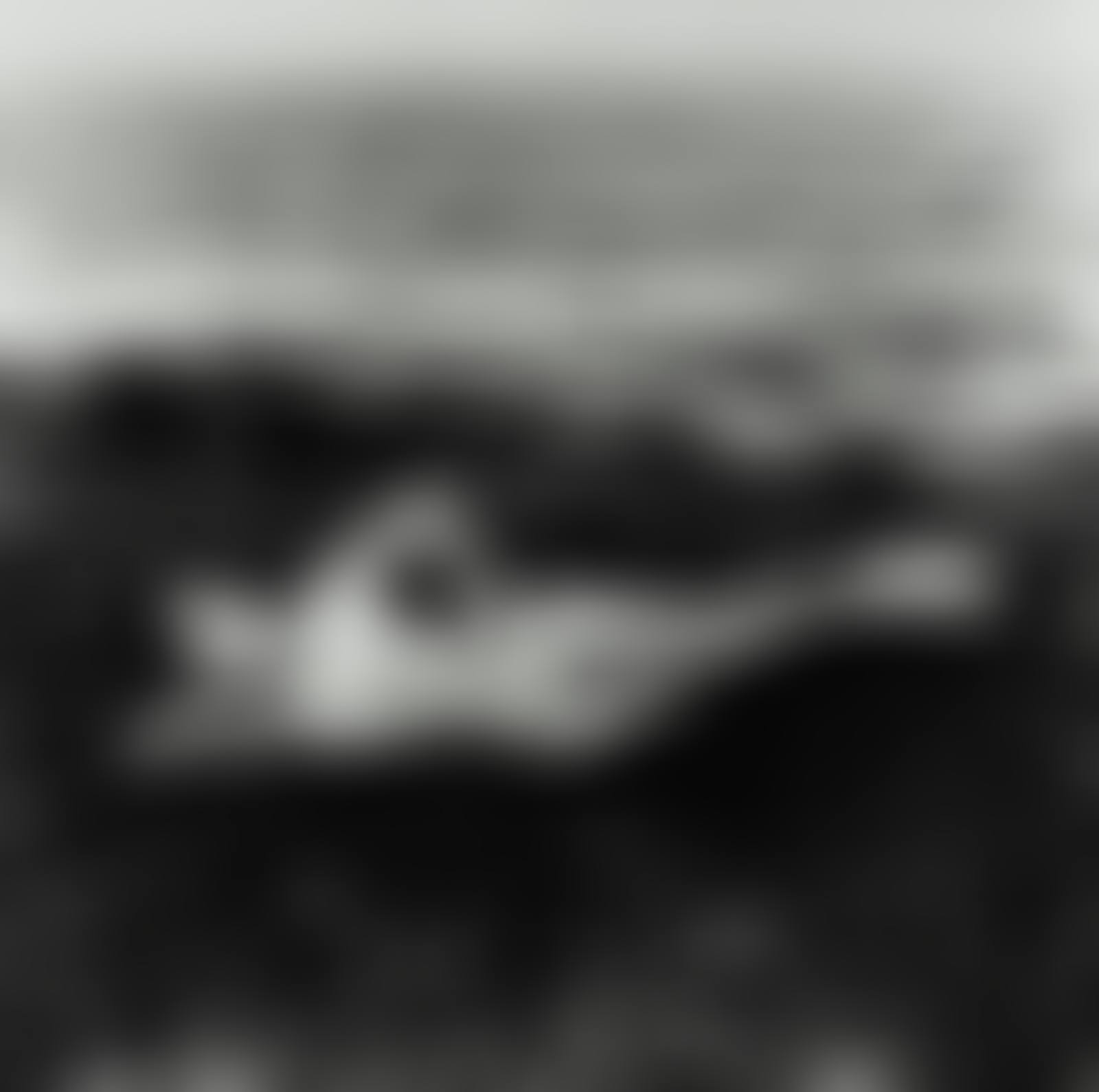 Nude on Seaweed, Saint Tropez (preview)