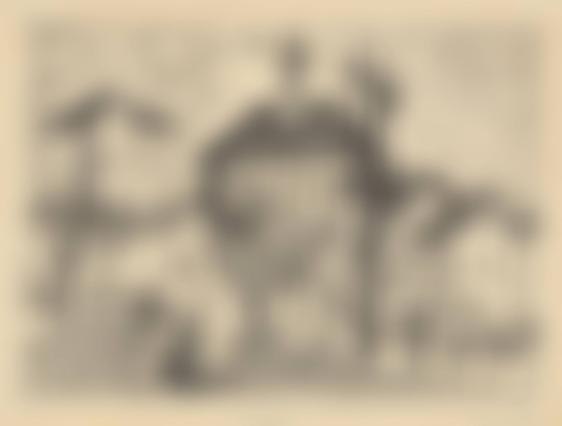 Sonnenaufgang (preview)
