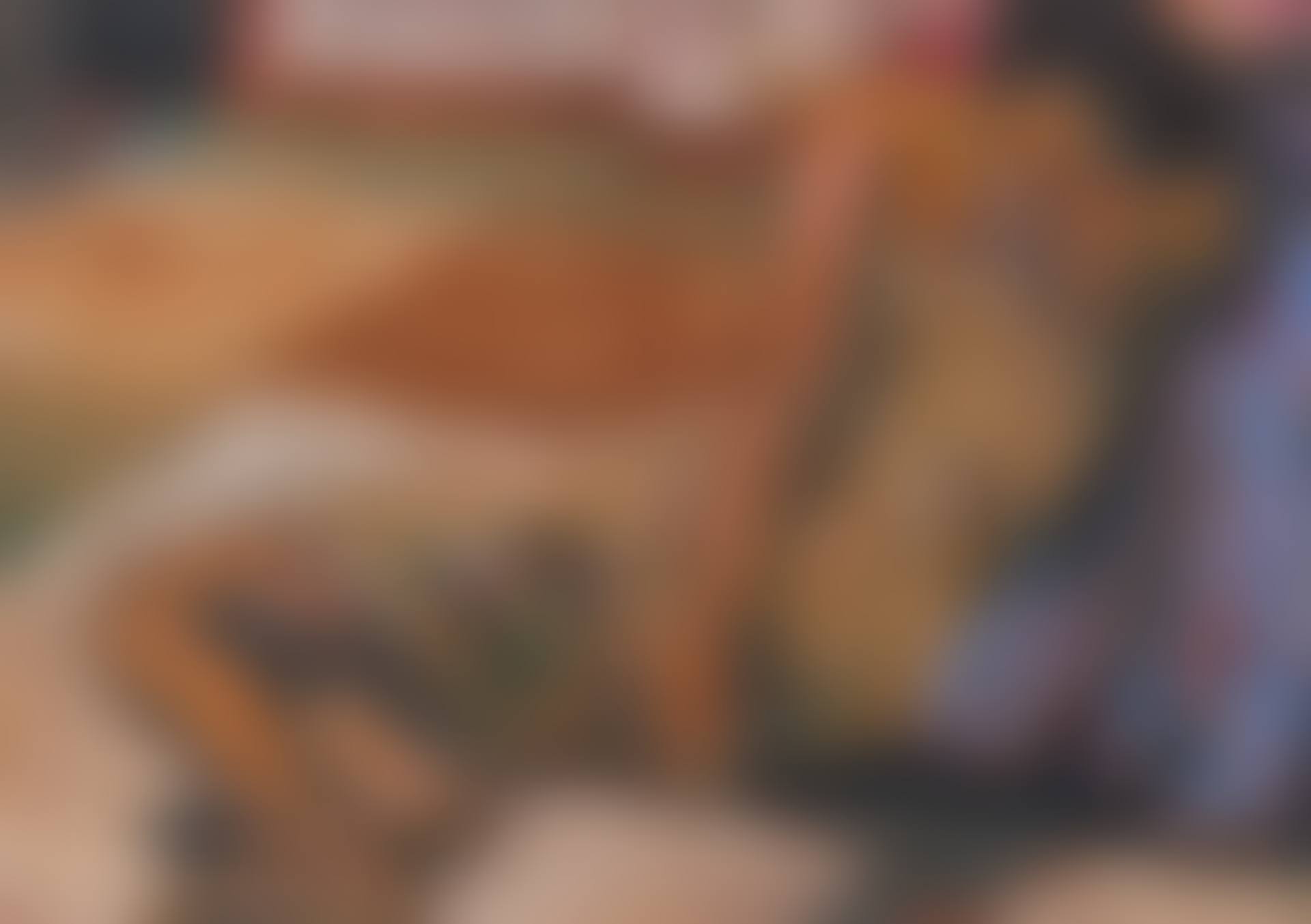 Liggende vrouw (preview)