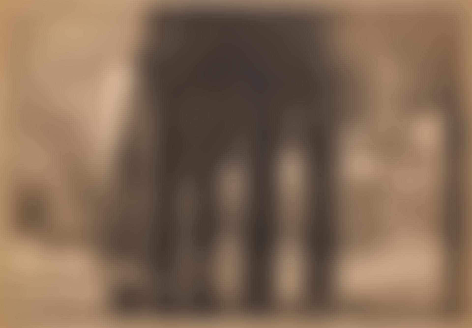 The Bridge (preview)