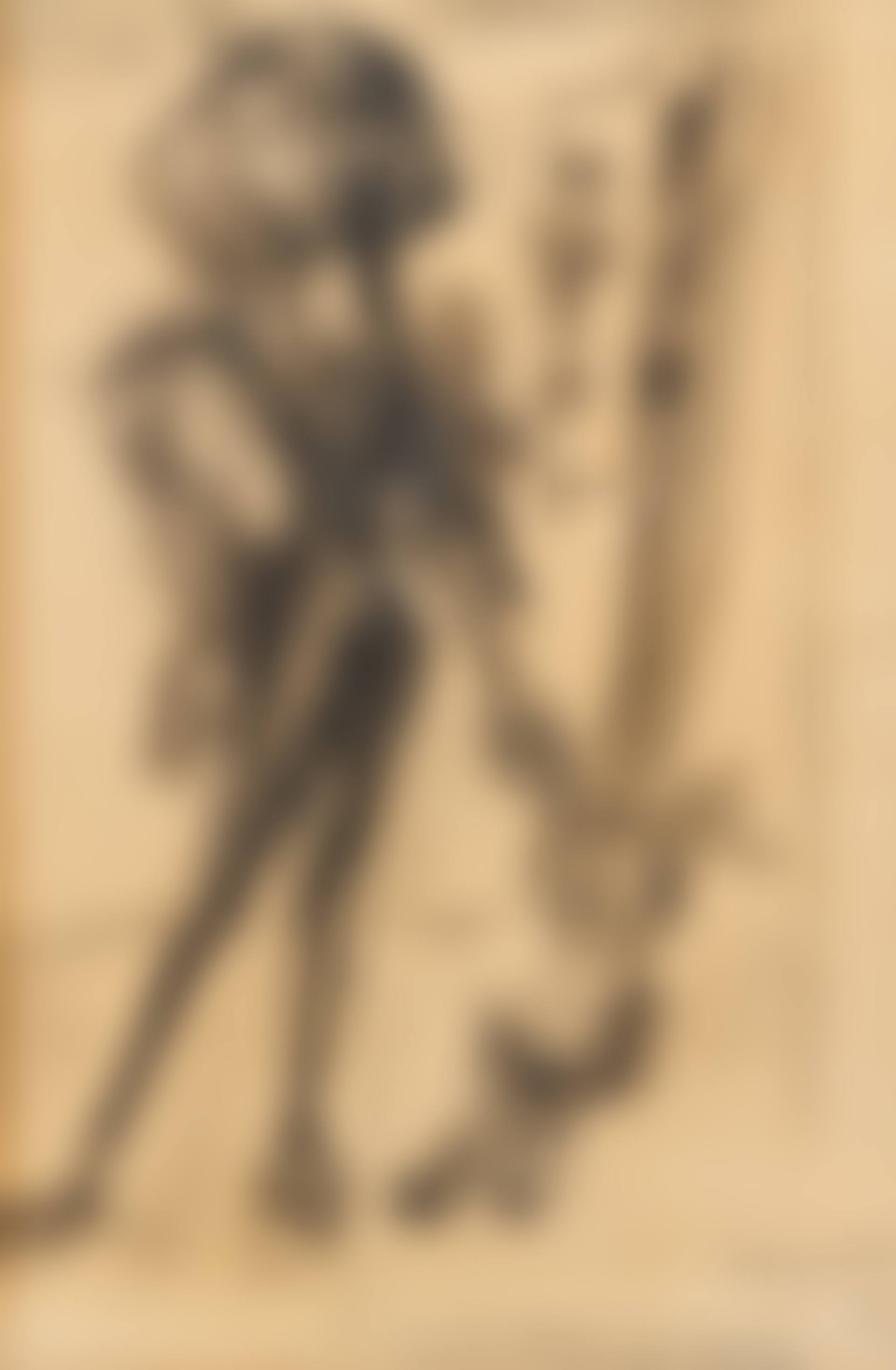 Poeseloes (preview)