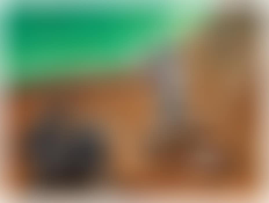 Untitled (Twilite Doubleheader...) (preview)