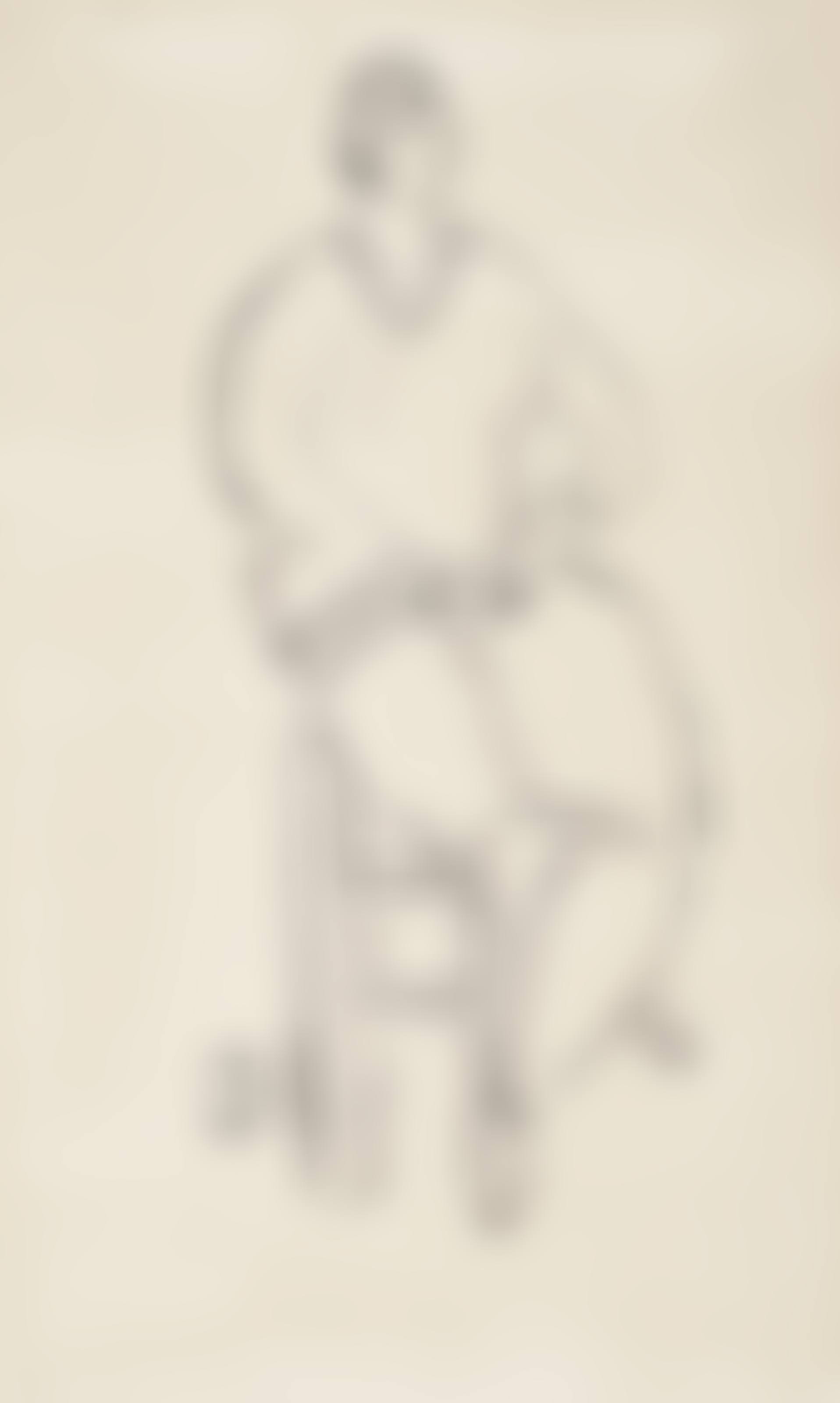 Femme assise (Seated lady) (preview)