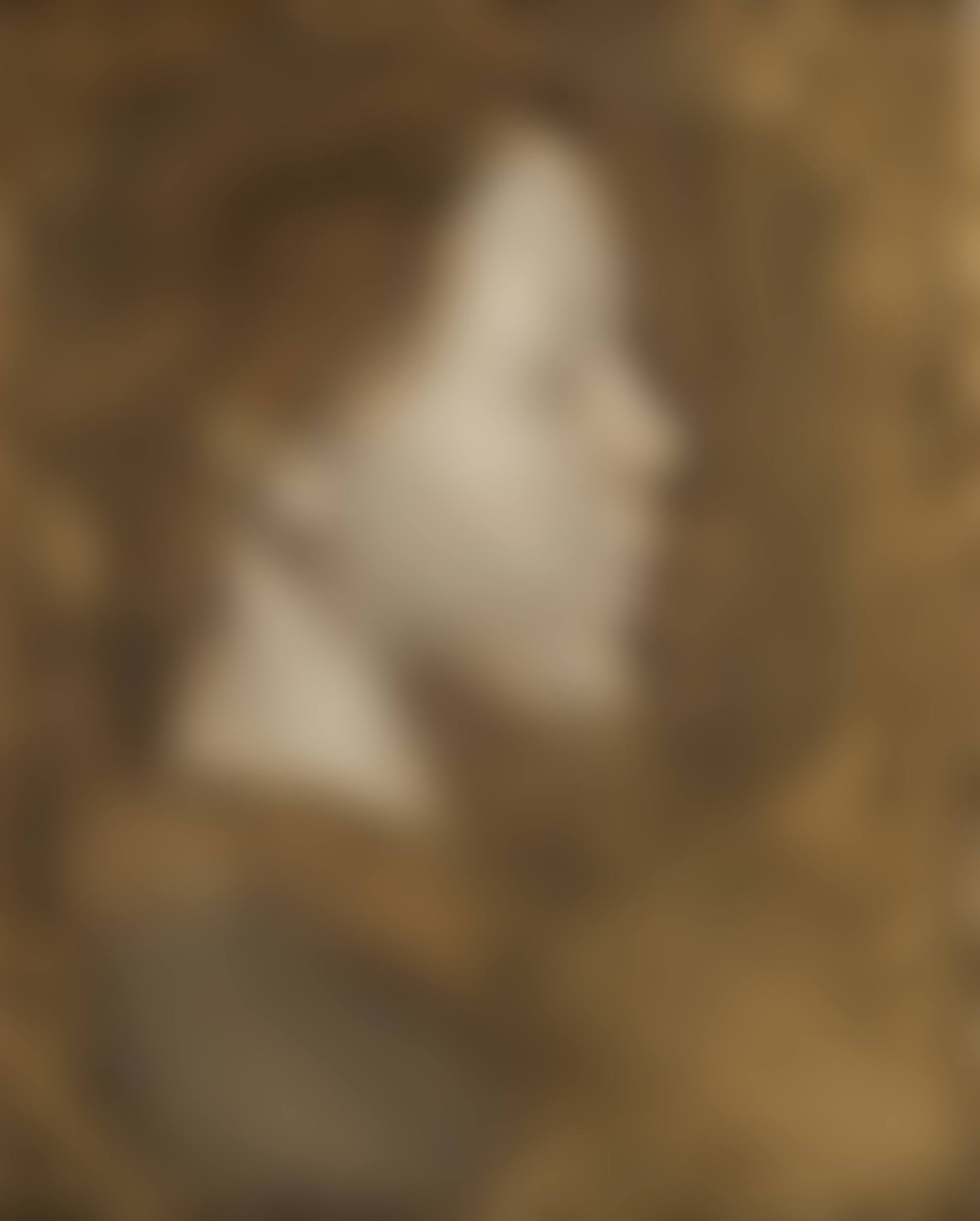 Portrait de femme de profil (Nelly Carrière) (preview)