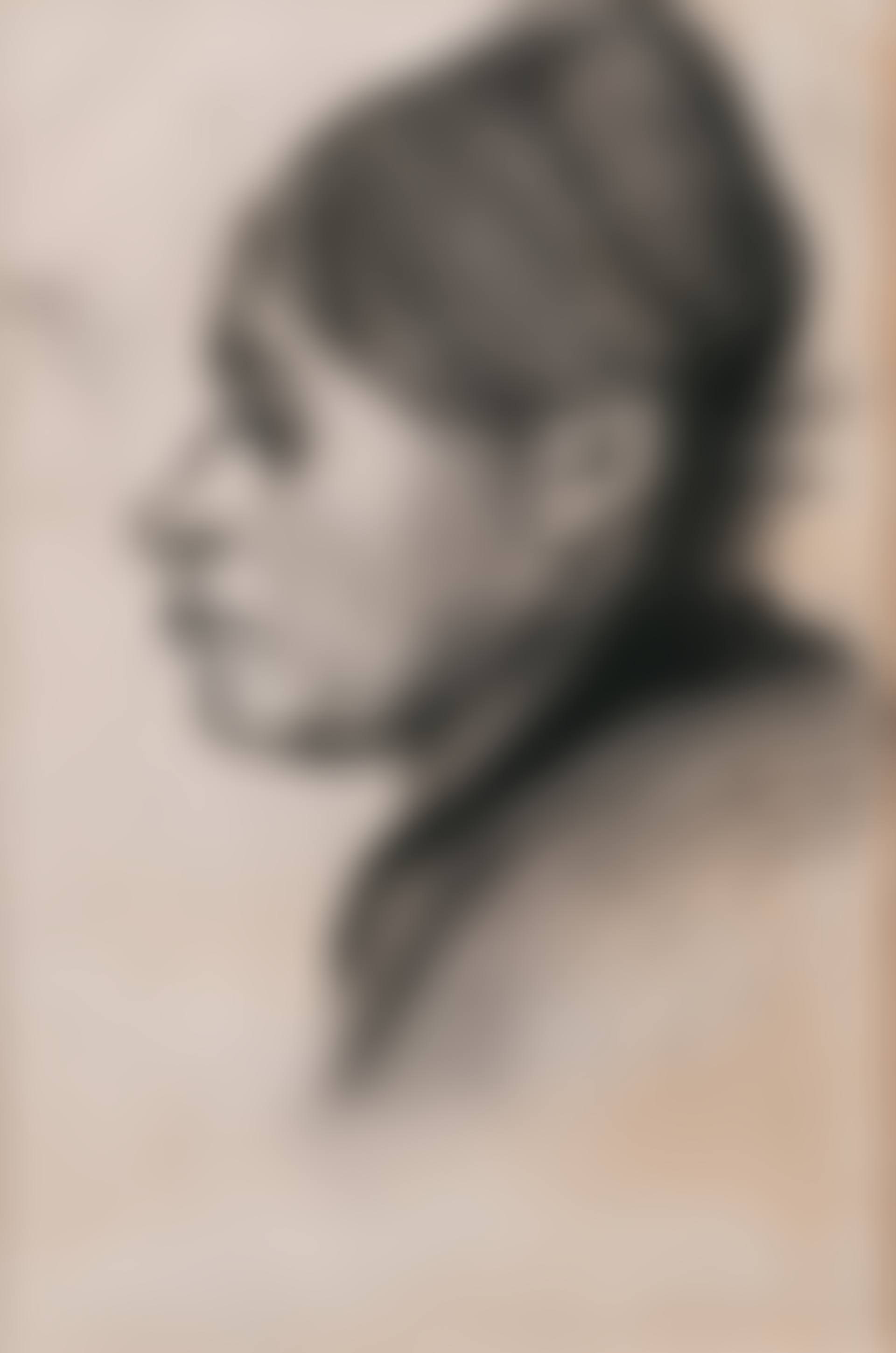 Head of a Peasant Woman, Left Profile (preview)