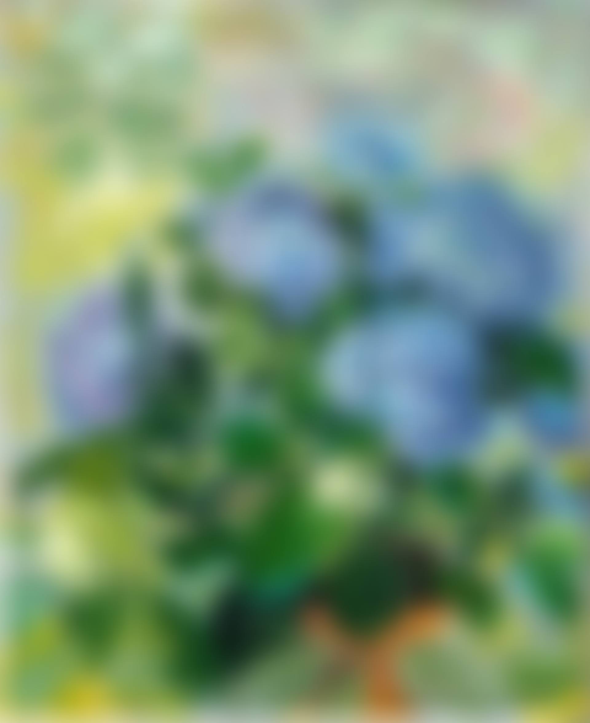 Les hortensias bleus (preview)