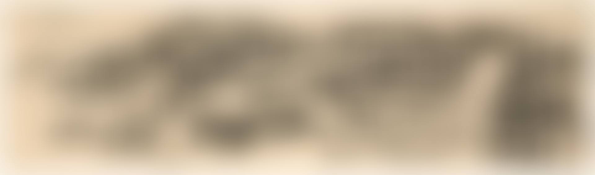 Landscript (preview)