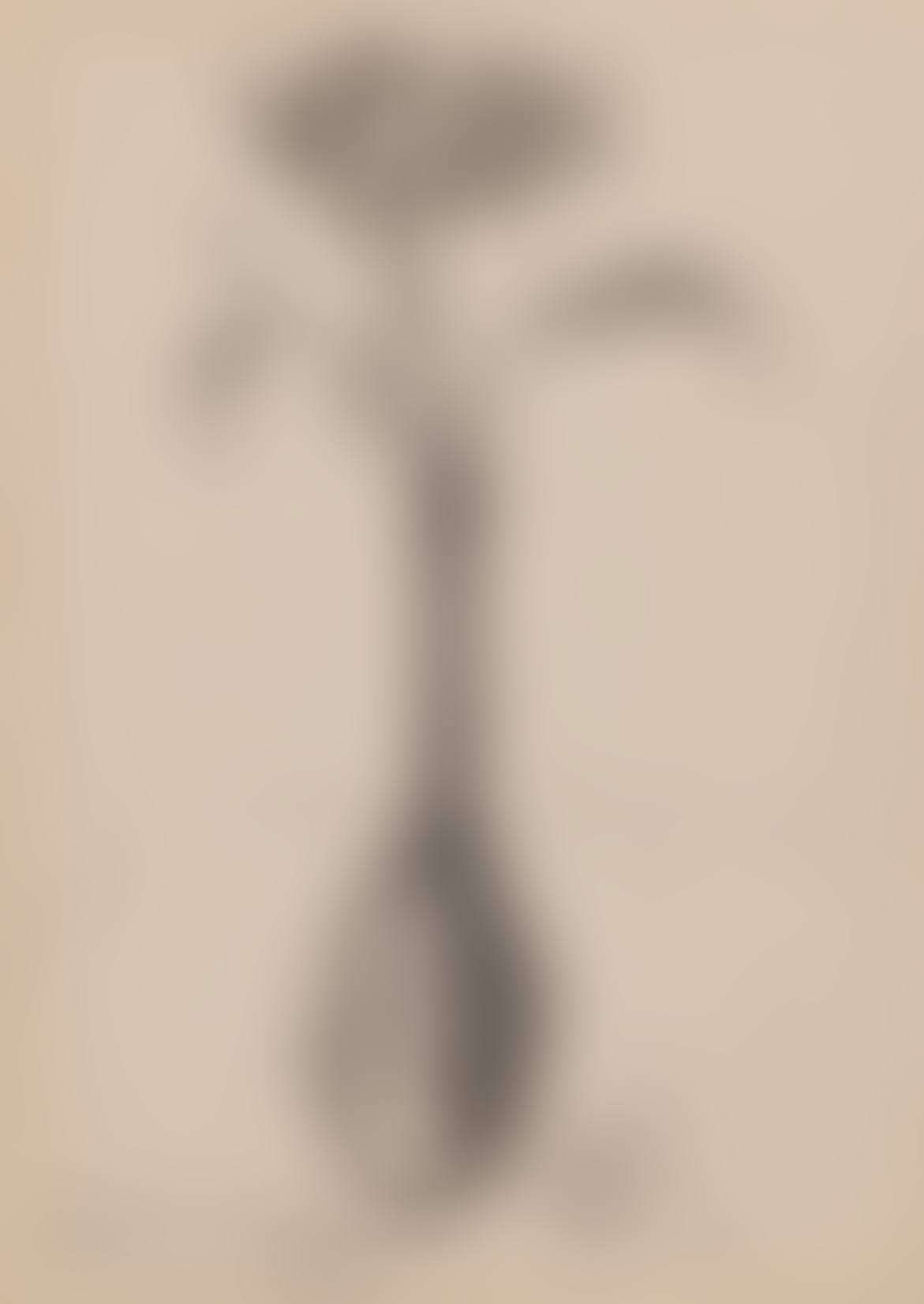Still Life (preview)