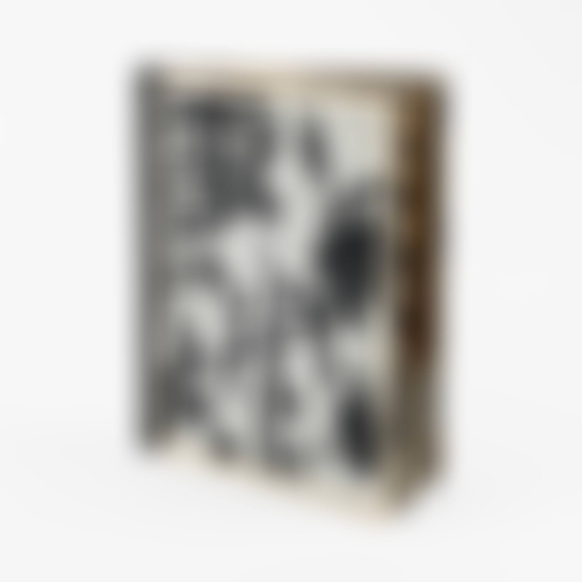 Andy Warhol's Index (preview)
