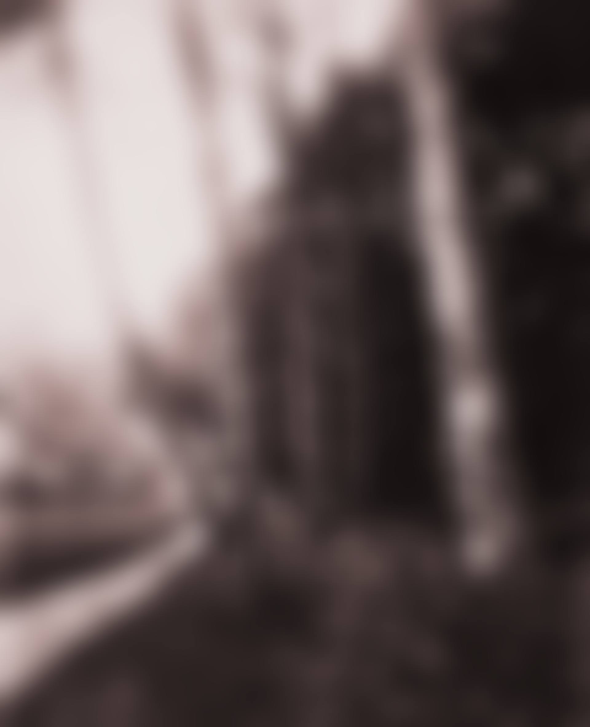 Parc de Saint-Cloud (birches) (preview)