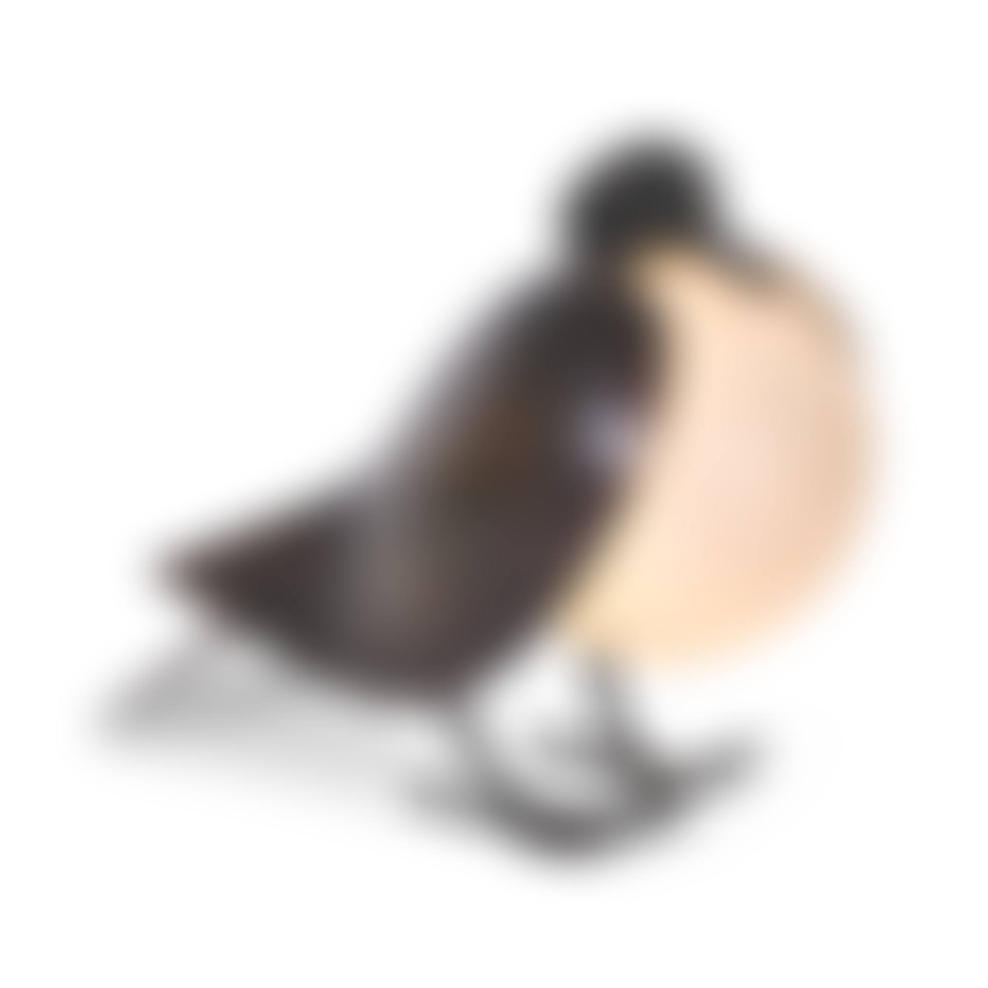 Lampe "Pigeon" (preview)