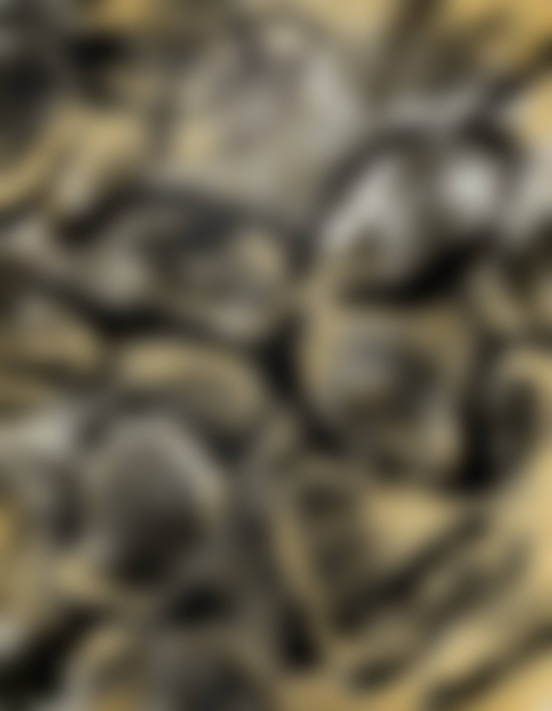 Stardust Light (preview)
