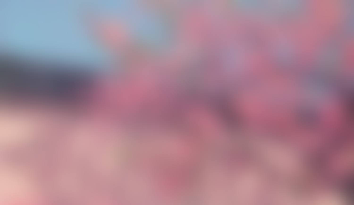 Garden of Light (preview)