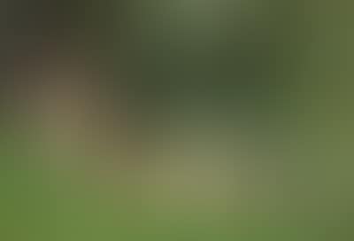 Two Bathers by a Pond (preview)