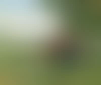 A Shepherdess with Spotted Cattle at a Watering Place (preview)