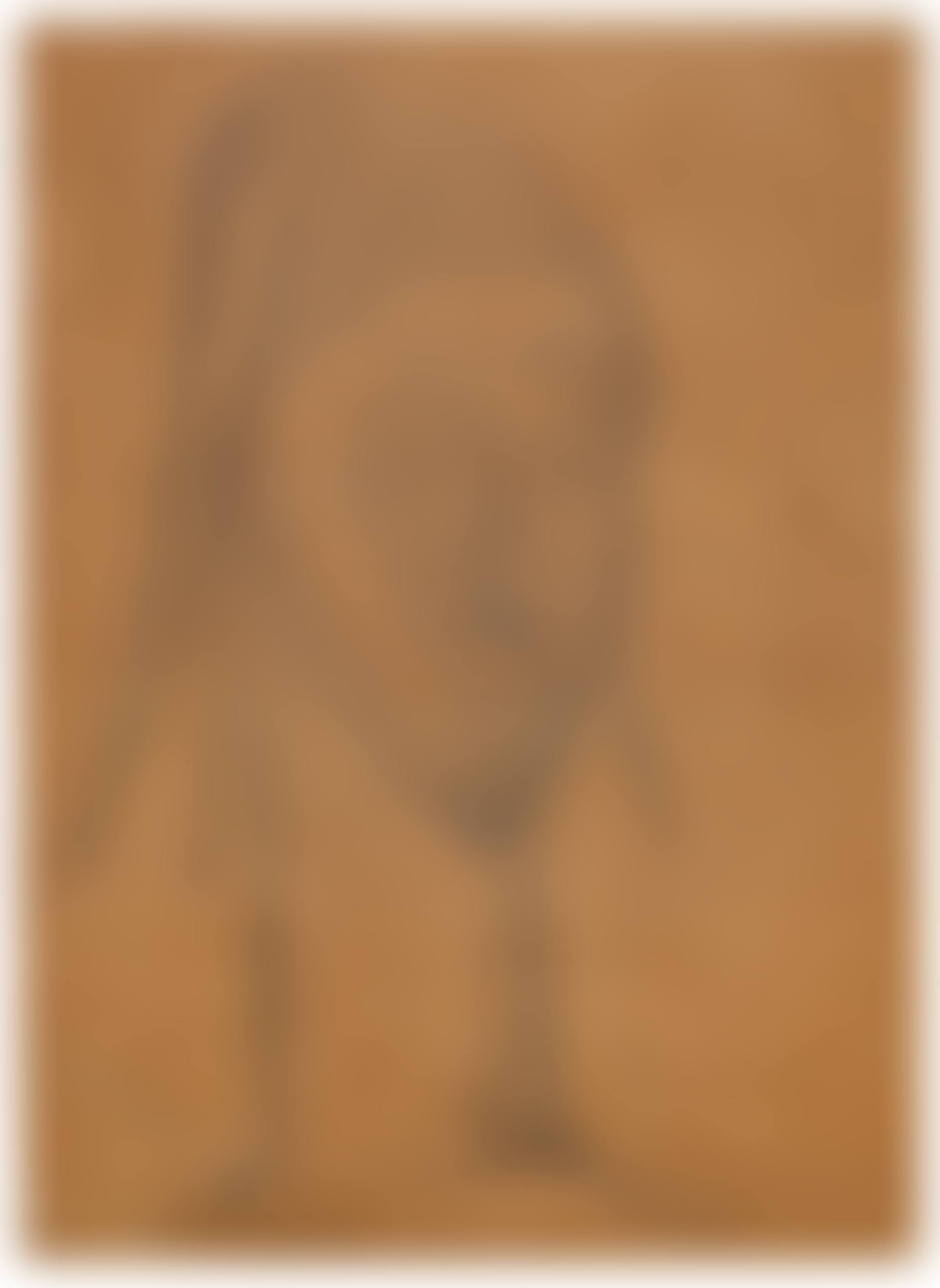 The Brummer Head (preview)
