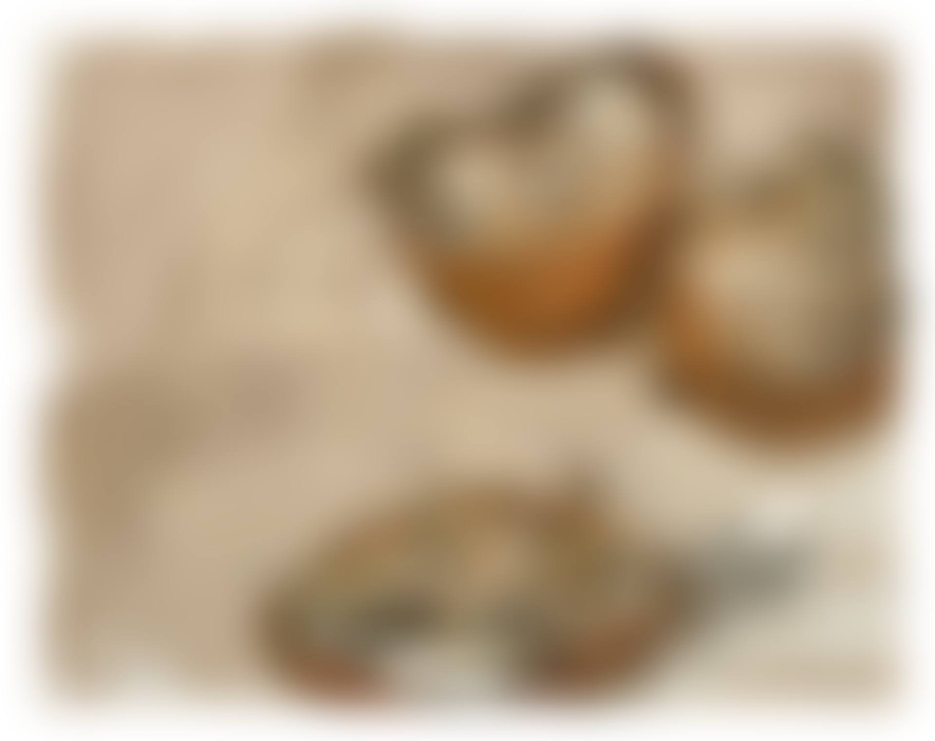 Fruits Pourris I (preview)