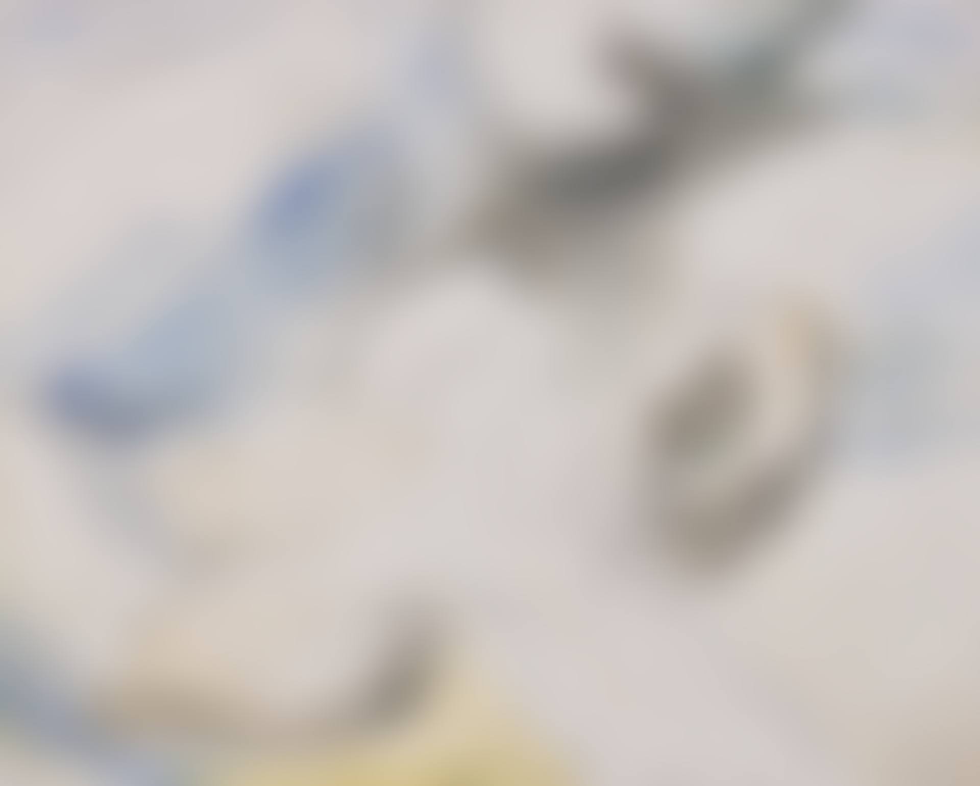 The Hands and the Arm (preview)