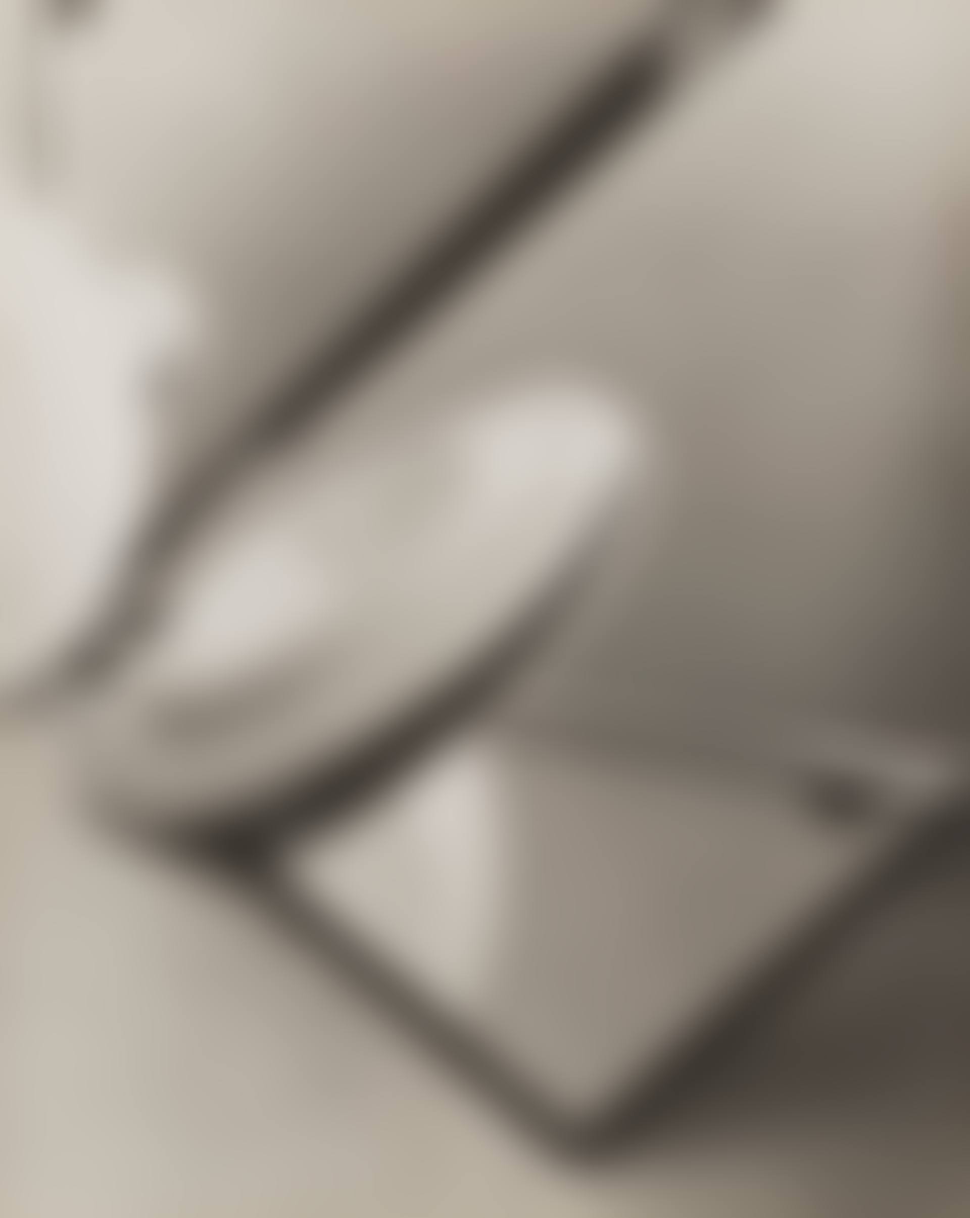 Composition (Plates and Mirrors) (preview)