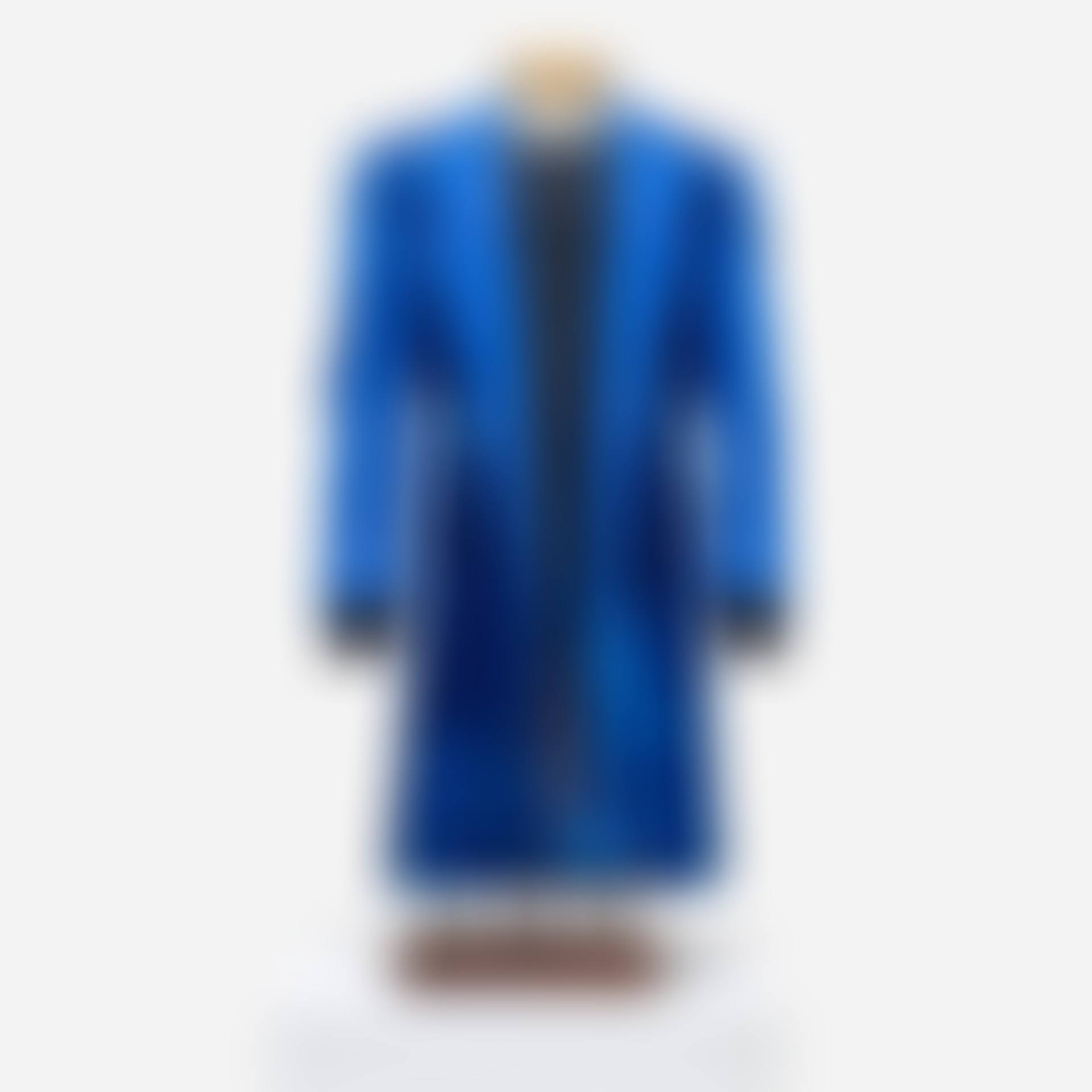 Blue coat (preview)