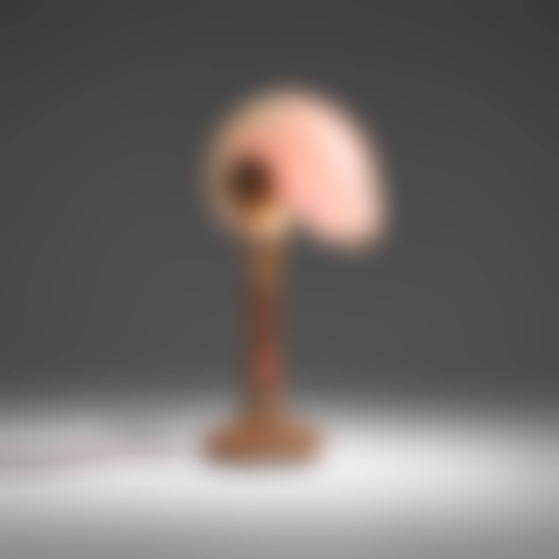 Nautilus desk lamp (preview)